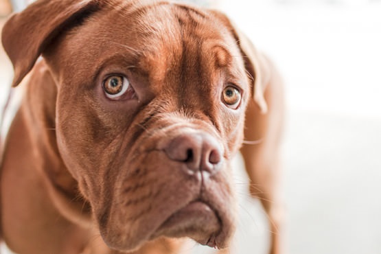 嫌われるリーダーは嫌みっぽい 106_1